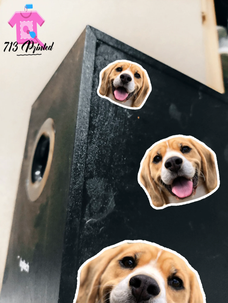 Custom FACE Sticker | Upload Any Image of Your Friends Face | Sticker funny gift 3 sizes
